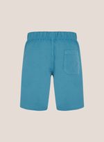 06012481_17_7-SHORTS-SARJA-FT-COLOR